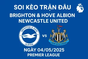 Soi Kèo Trận Đấu Brighton Hove Albion vs Newcastle United Ngày 04/05/2025 – Premier League